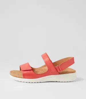 BENJI SANDAL