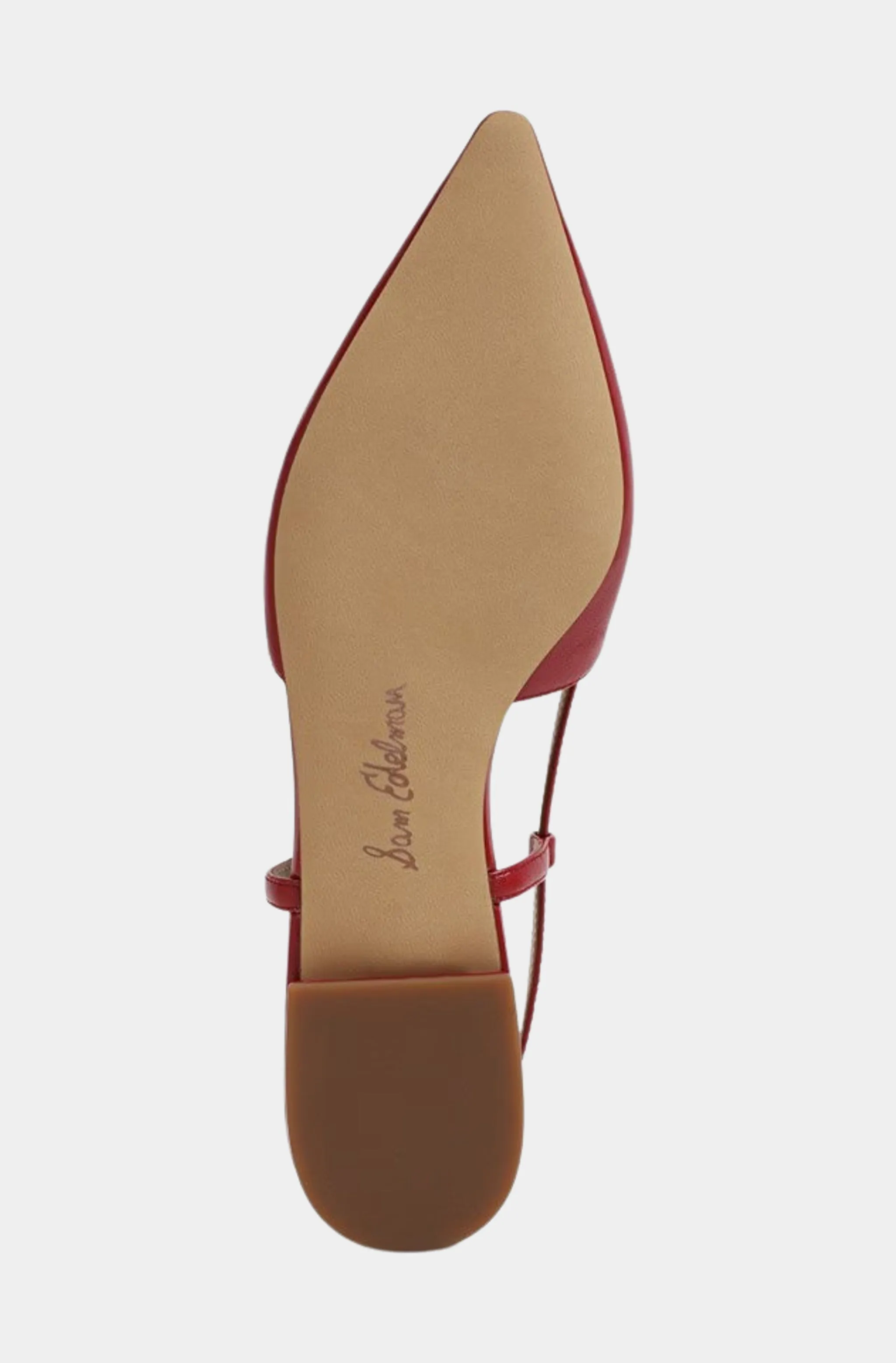 Cohen Singback Pointy Toe Flat