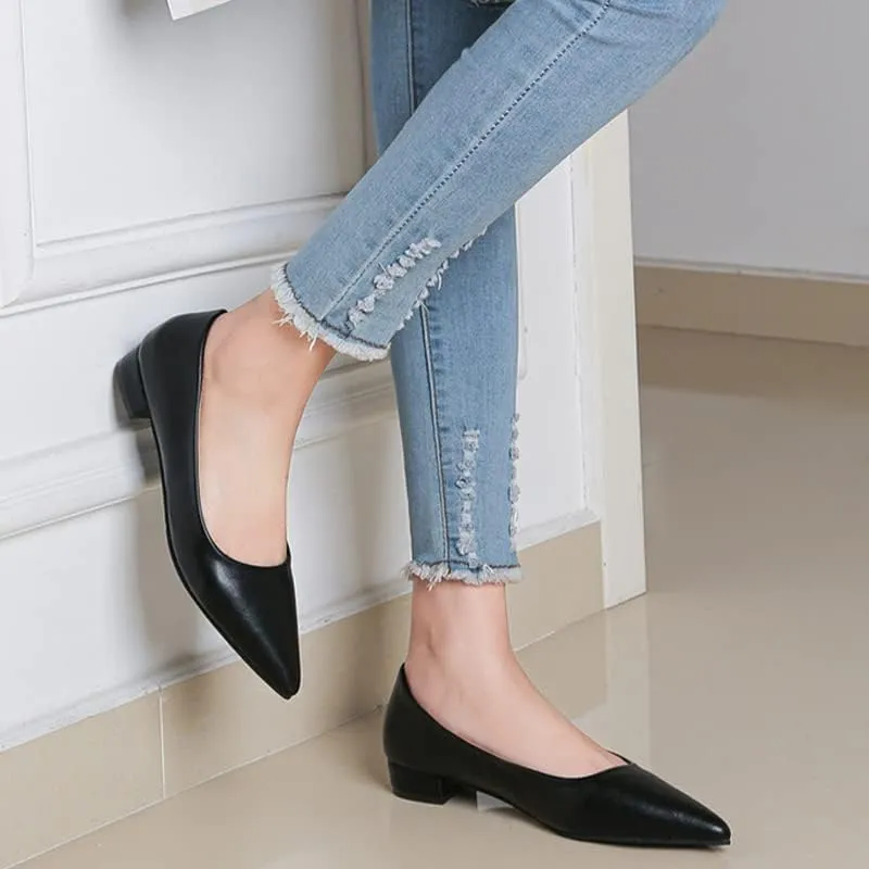 Dear Time Ballerina Flats Shoes for Women Pointy Toe Soft Basic Slip On Flat Shoes