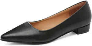 Dear Time Ballerina Flats Shoes for Women Pointy Toe Soft Basic Slip On Flat Shoes
