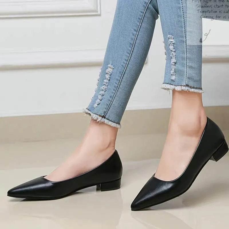 Dear Time Ballerina Flats Shoes for Women Pointy Toe Soft Basic Slip On Flat Shoes