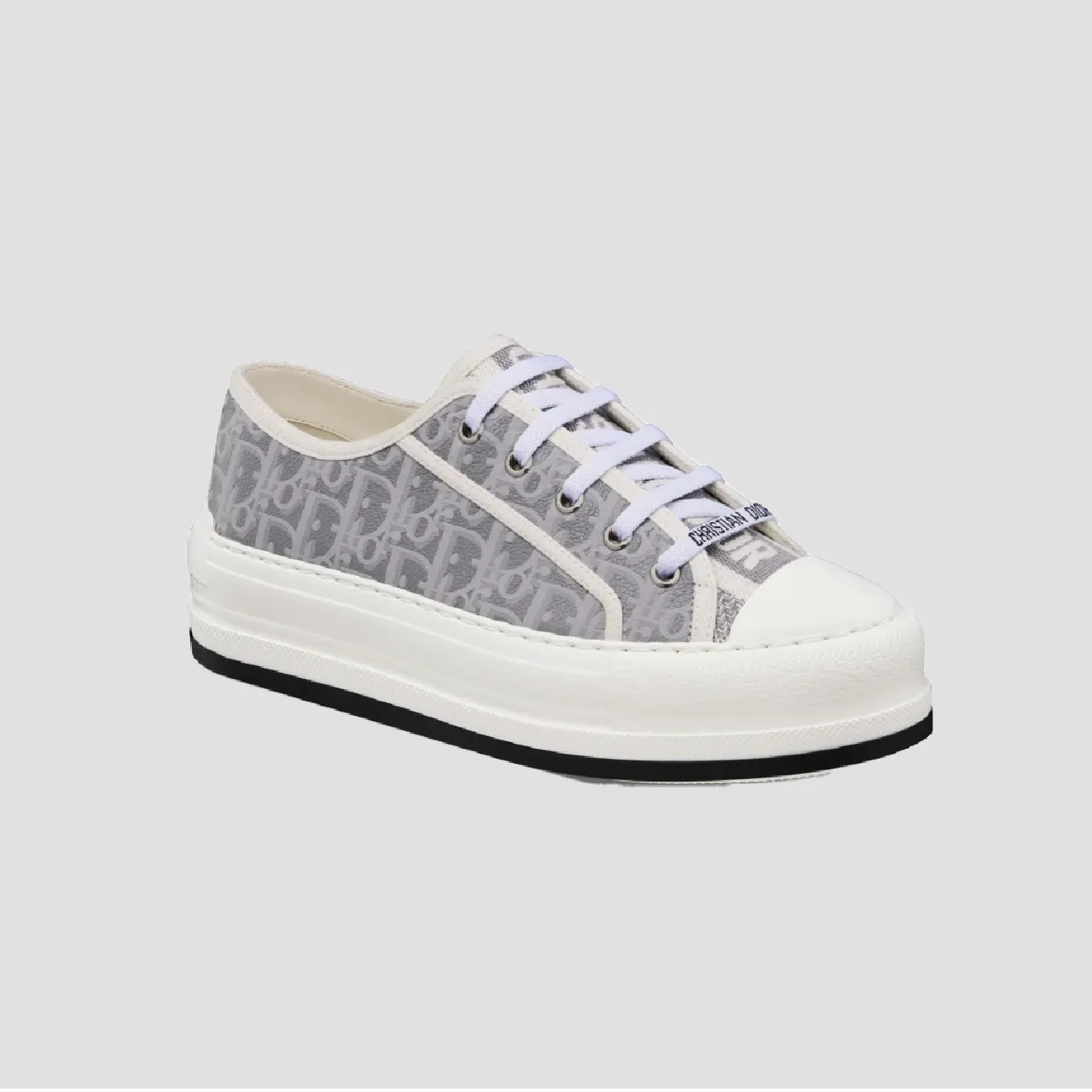 DIOR SNEAKERS (08)