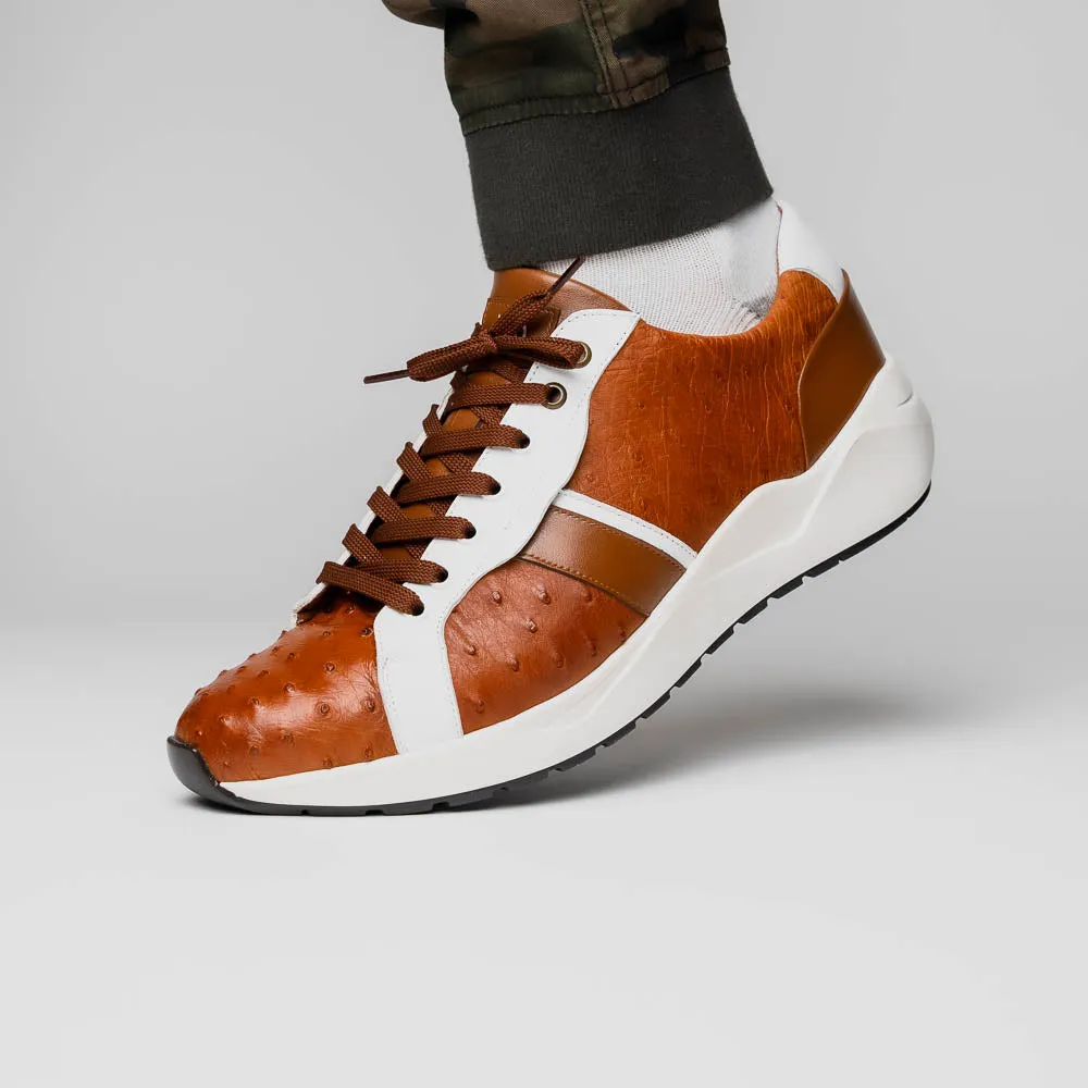 Marco Di Milano Lyon II in Brandy / White Ostrich Quill & Calfskin Sneakers
