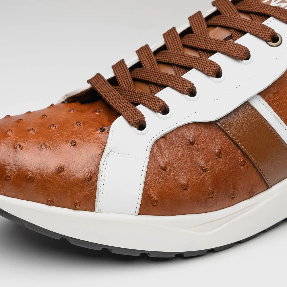 Marco Di Milano Lyon II in Brandy / White Ostrich Quill & Calfskin Sneakers
