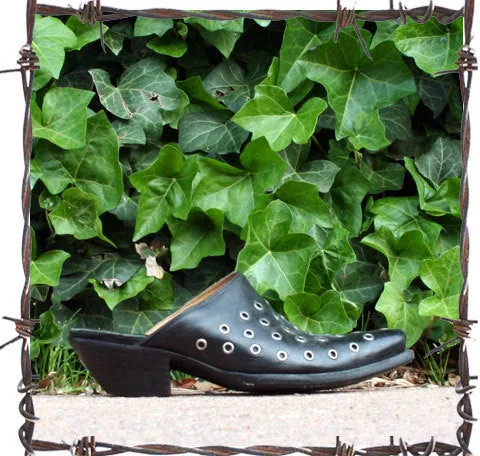 Overnight delivery Privacy-focused Women's Black Manuel-Mules