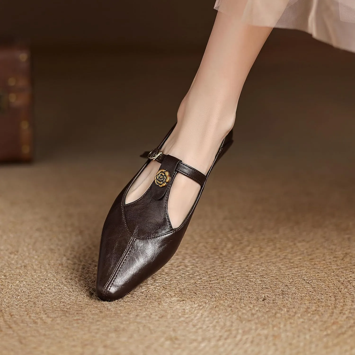 Women's Elegant T-Strap Vintage Pumps Block Low Heel Pointed Toe Cut Out Mary Jane